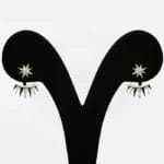 Midnight Moonstone Stud Earrings