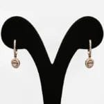 Sparkling Drop Earrings